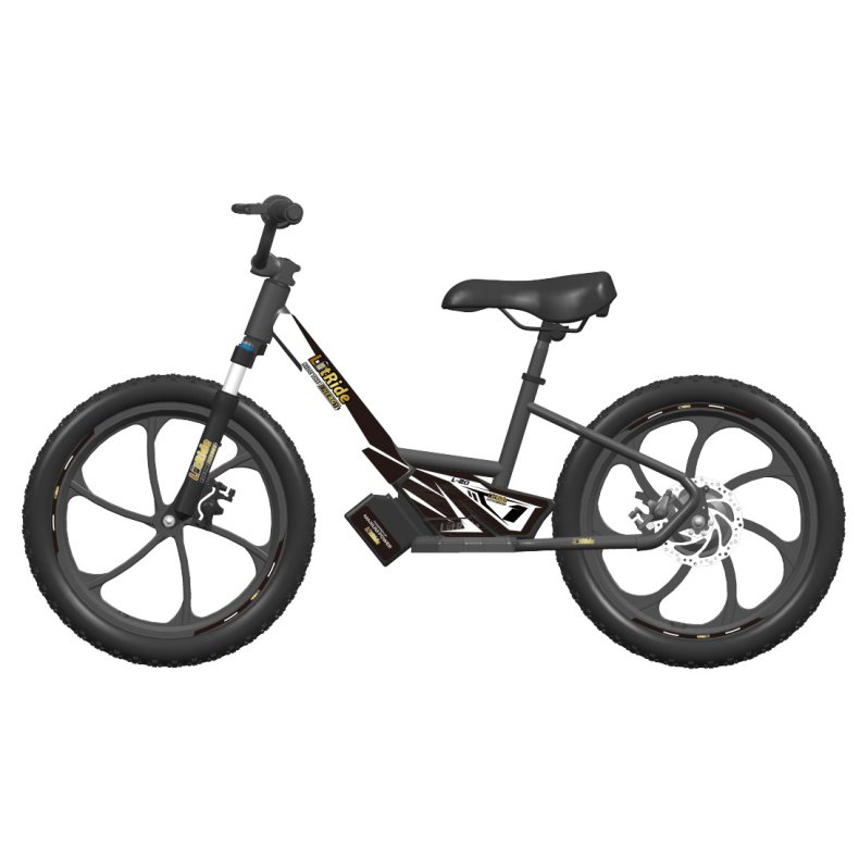 LitRide L20