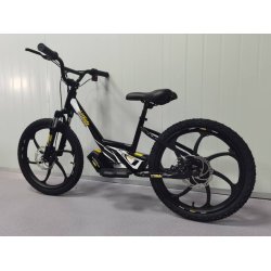 LitRide L20