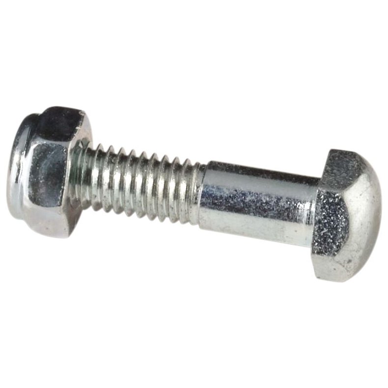 Pivot Bolt