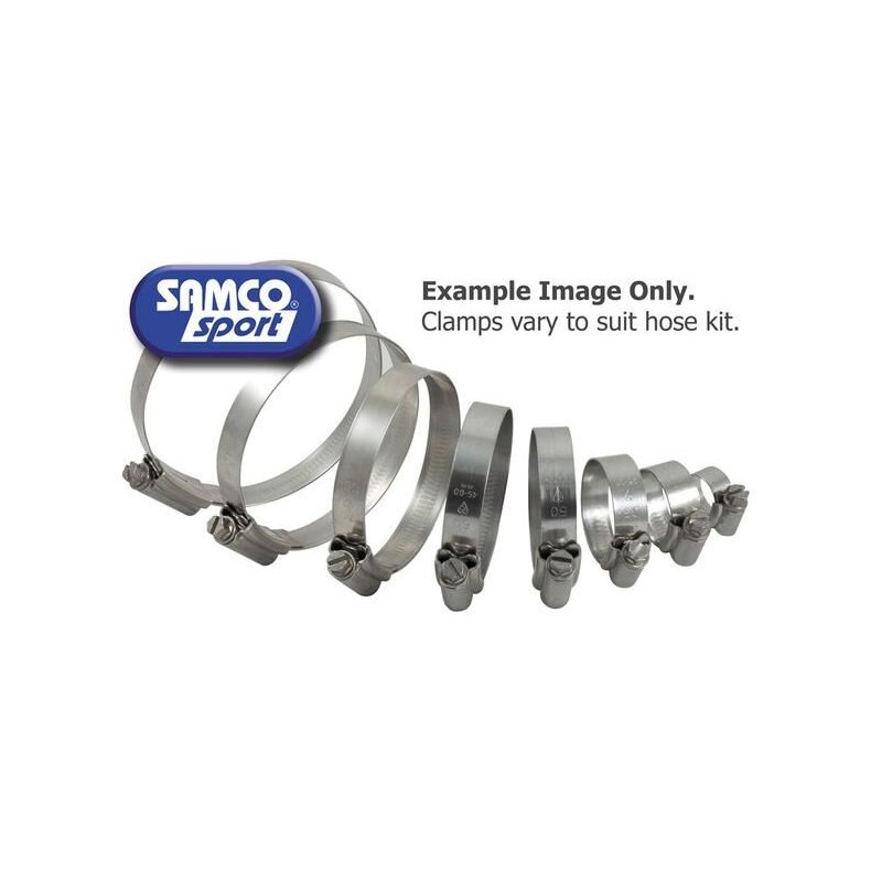 Radiator Hose Clamp Kit